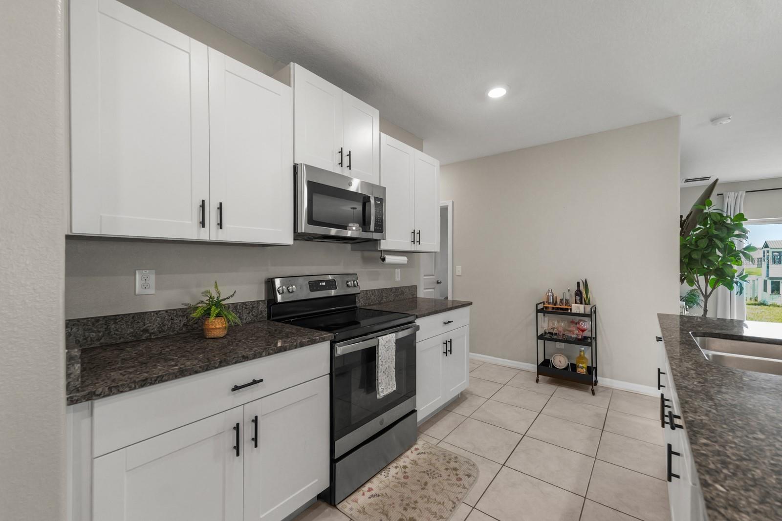 31575 Barrel Wave, Wesley Chapel, FL 33545