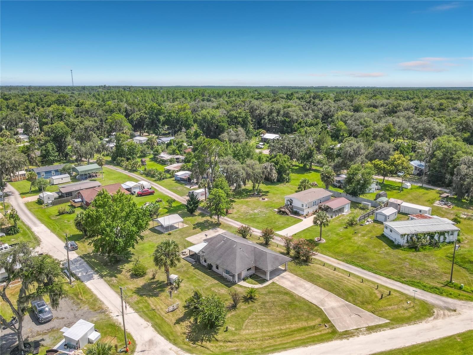 30620 95th, Fort Mc Coy, FL 32134