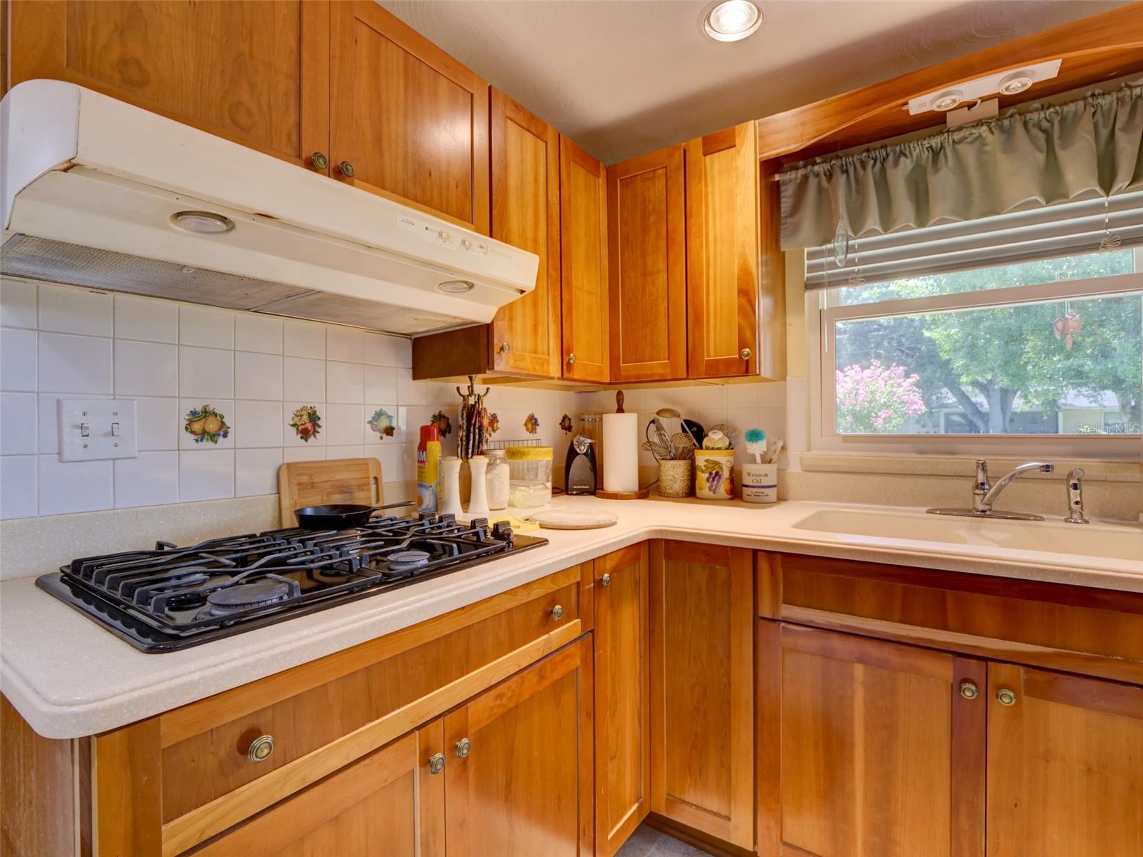 314 York, Bushnell, FL 33513