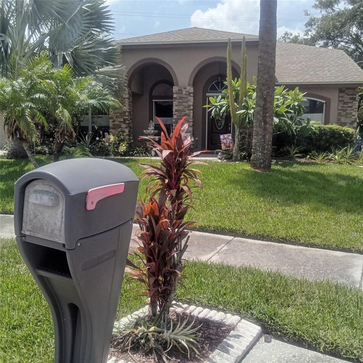 15301 Montreat, Tampa, FL 33625