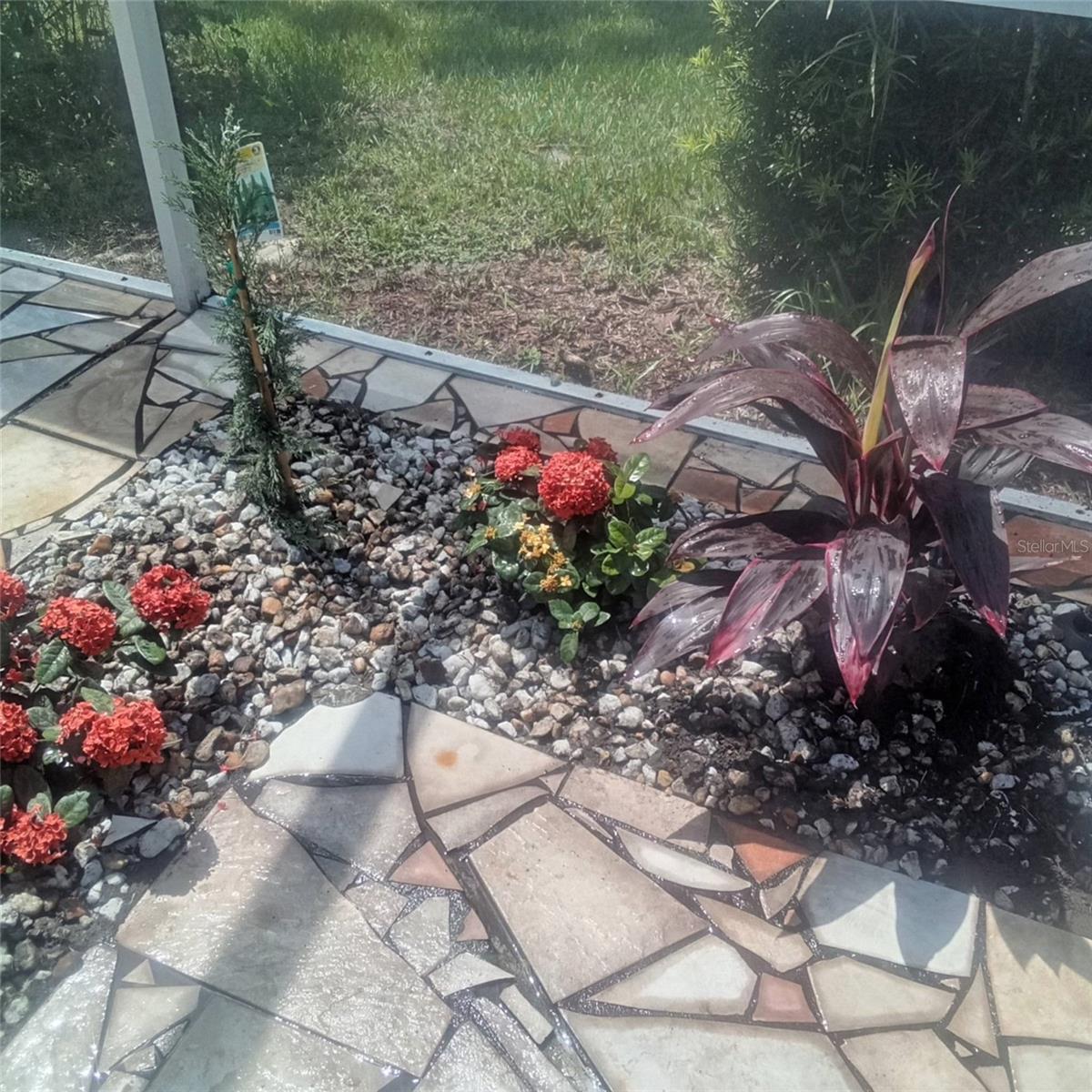 15301 Montreat, Tampa, FL 33625