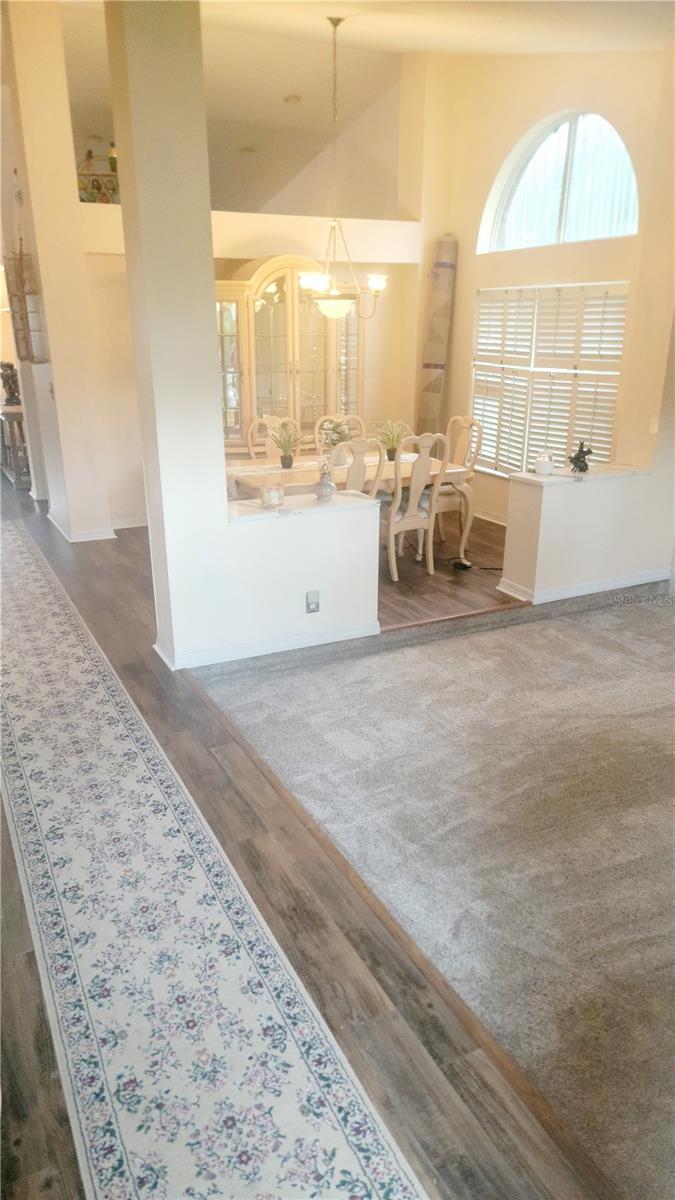 15301 Montreat, Tampa, FL 33625