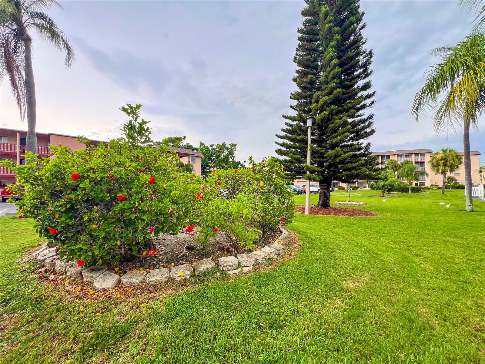 4204 Heron Unit B304, Bradenton, FL 34205
