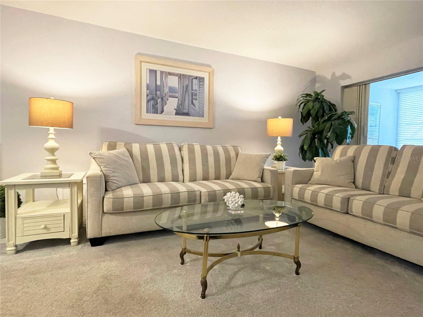 5880 38th Unit 206, St Petersburg, FL 33710