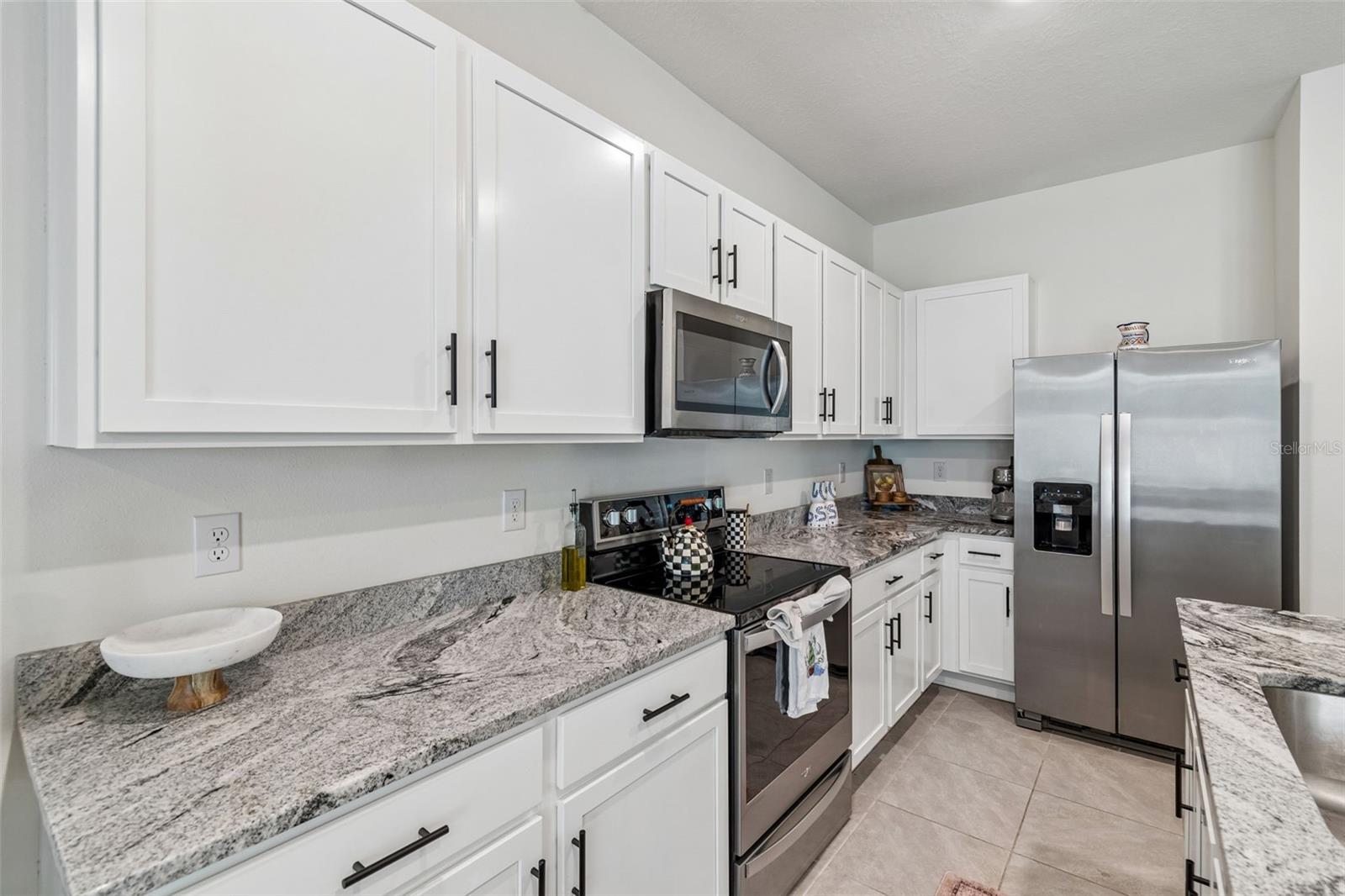 17245 Amber Aspen, Land O Lakes, FL 34638