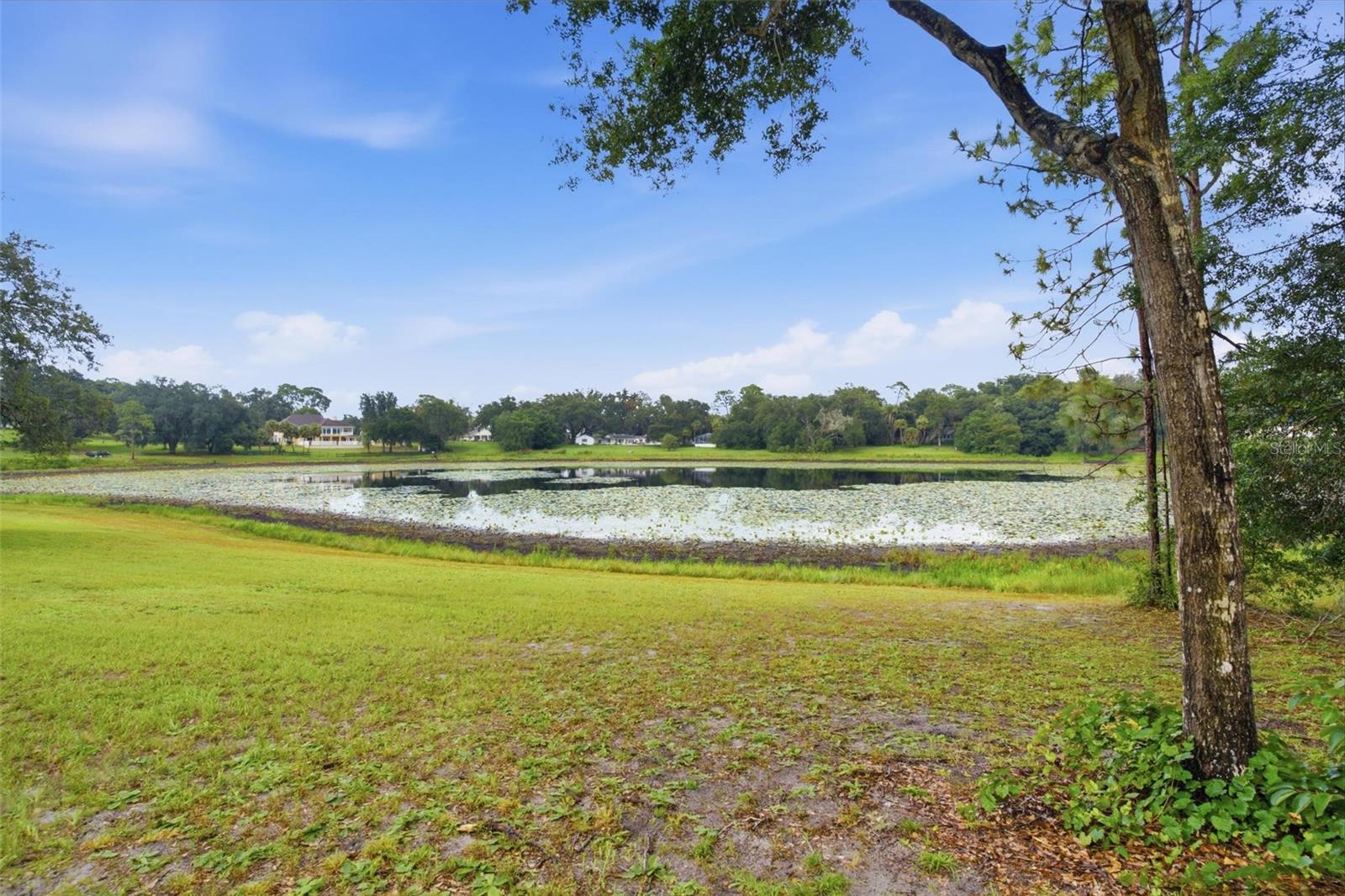 38700 Lakeview, Lady Lake, FL 32159