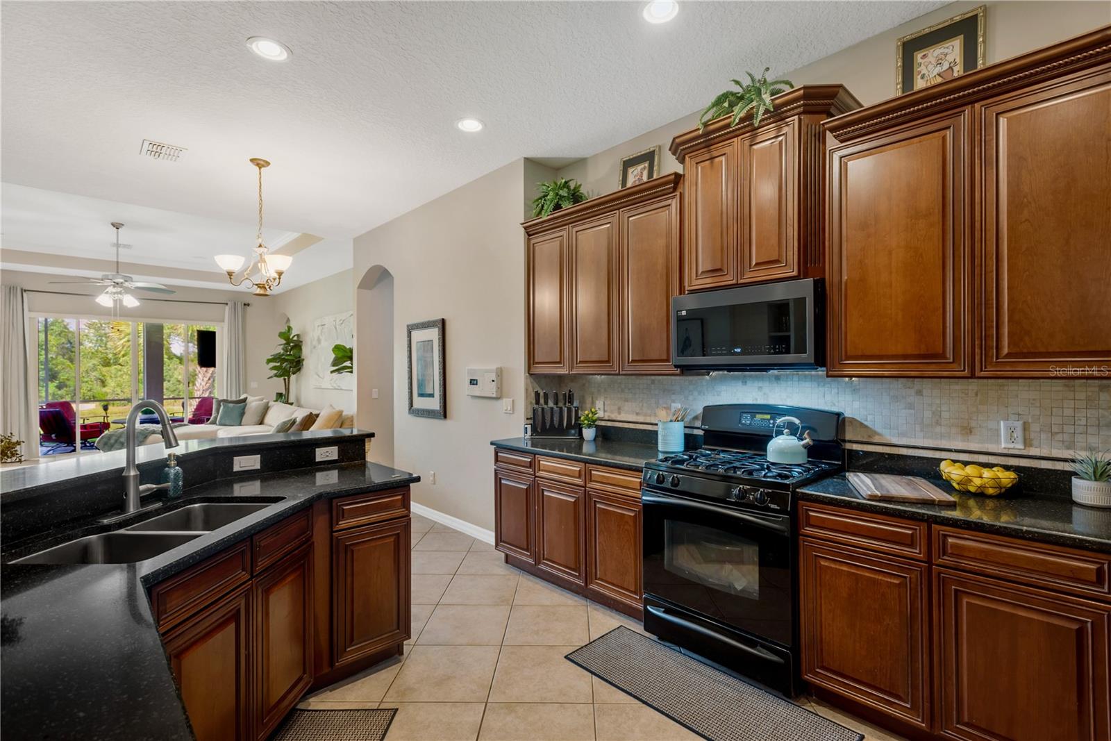 19908 Bluff Oak, Tampa, FL 33647