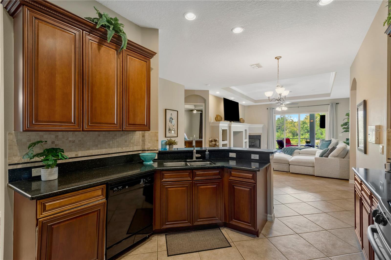19908 Bluff Oak, Tampa, FL 33647