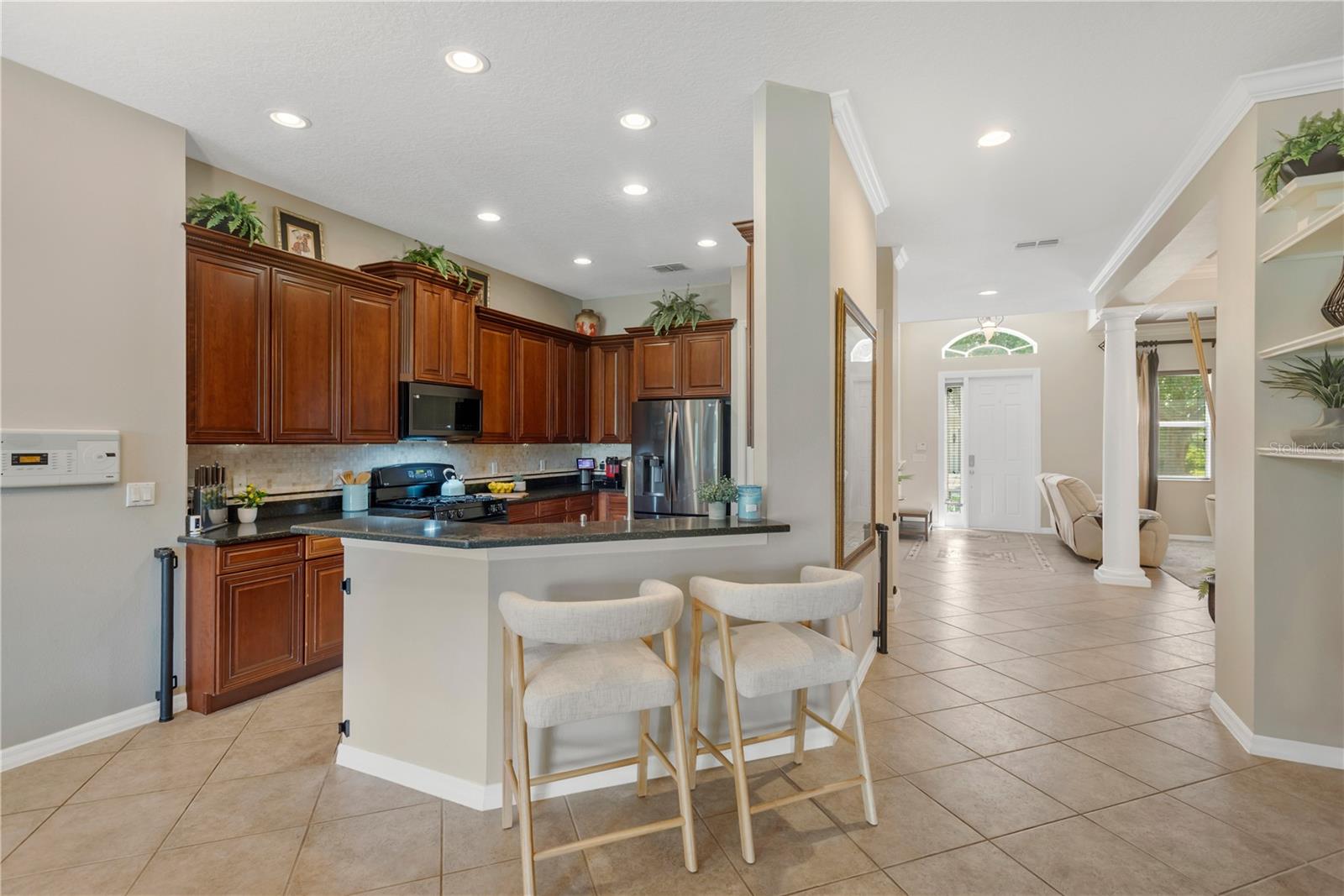 19908 Bluff Oak, Tampa, FL 33647