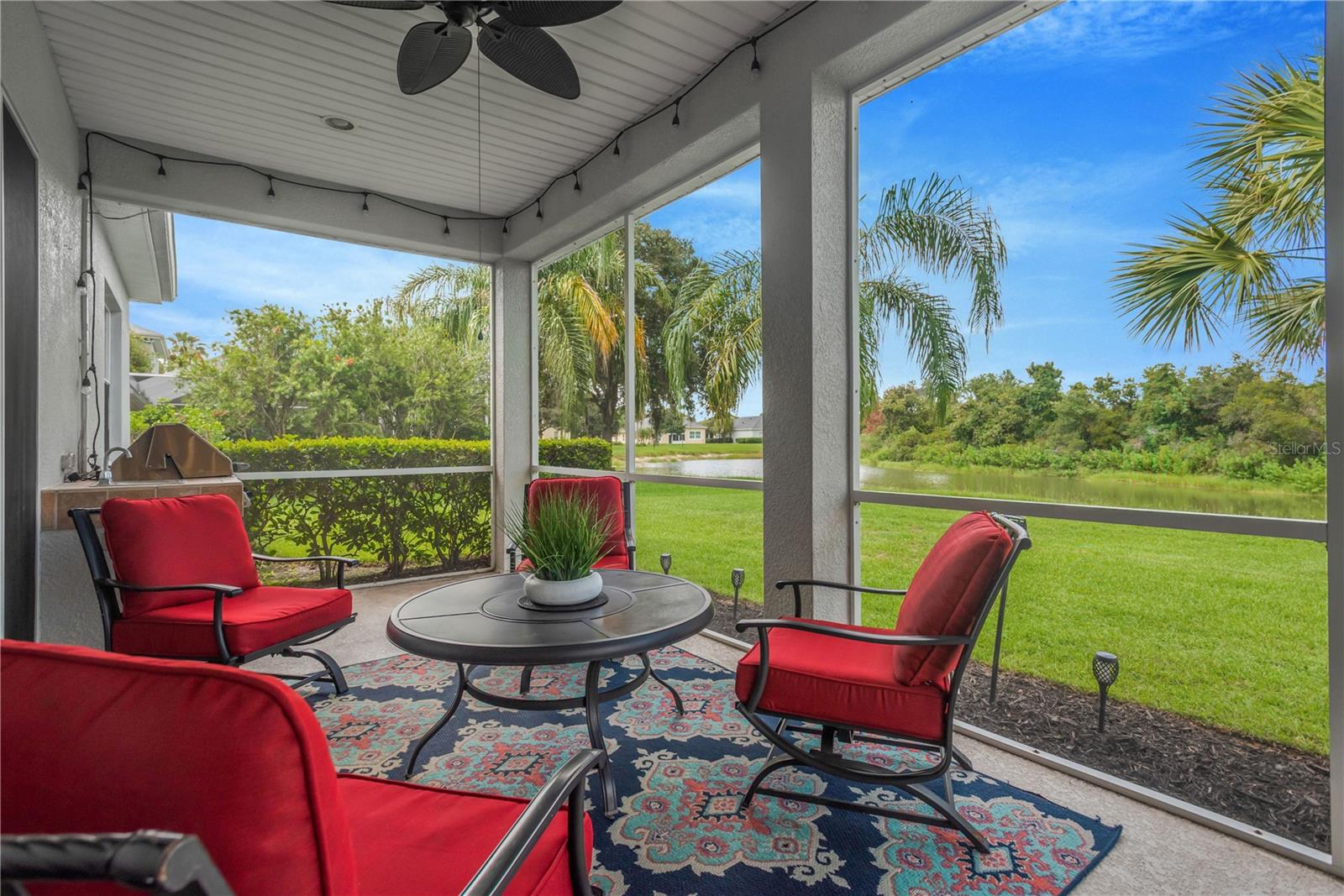 19908 Bluff Oak, Tampa, FL 33647