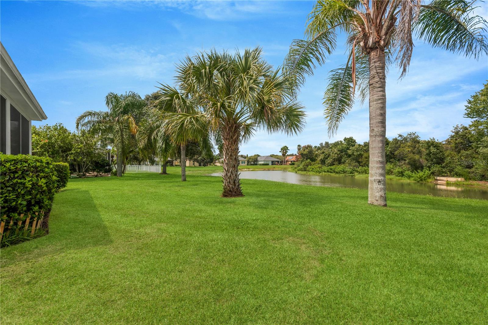 19908 Bluff Oak, Tampa, FL 33647