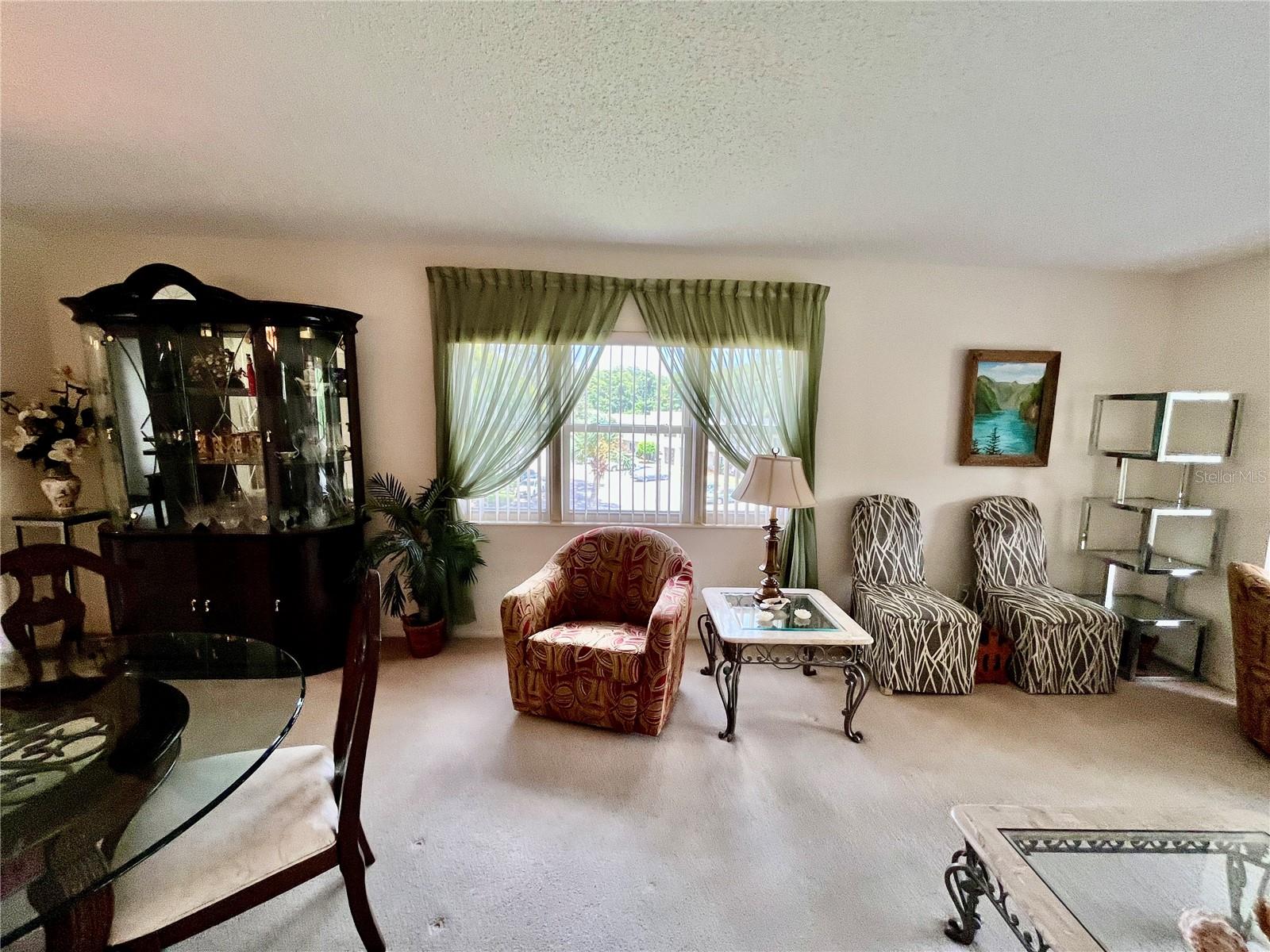 2471 Sumatran Unit 43, Clearwater, FL 33763