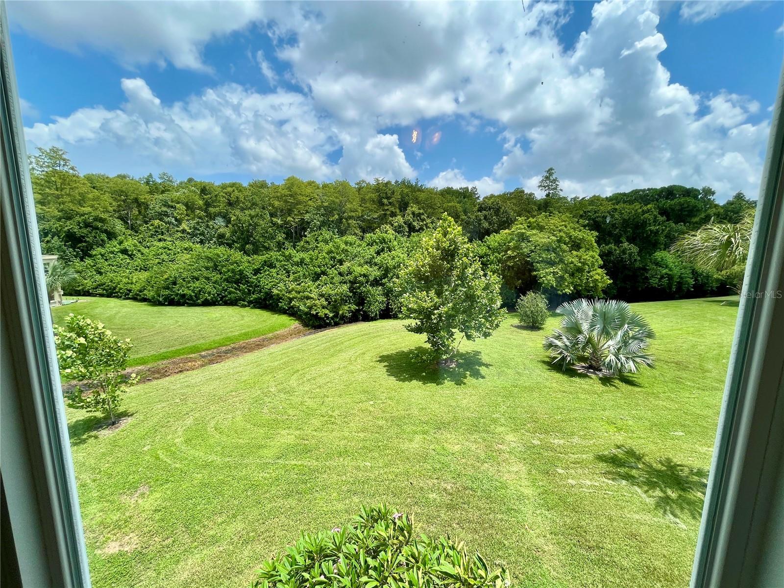 2471 Sumatran Unit 43, Clearwater, FL 33763