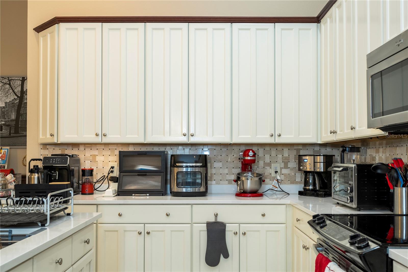 10301 Oakview Pointe, Gotha, FL 34734