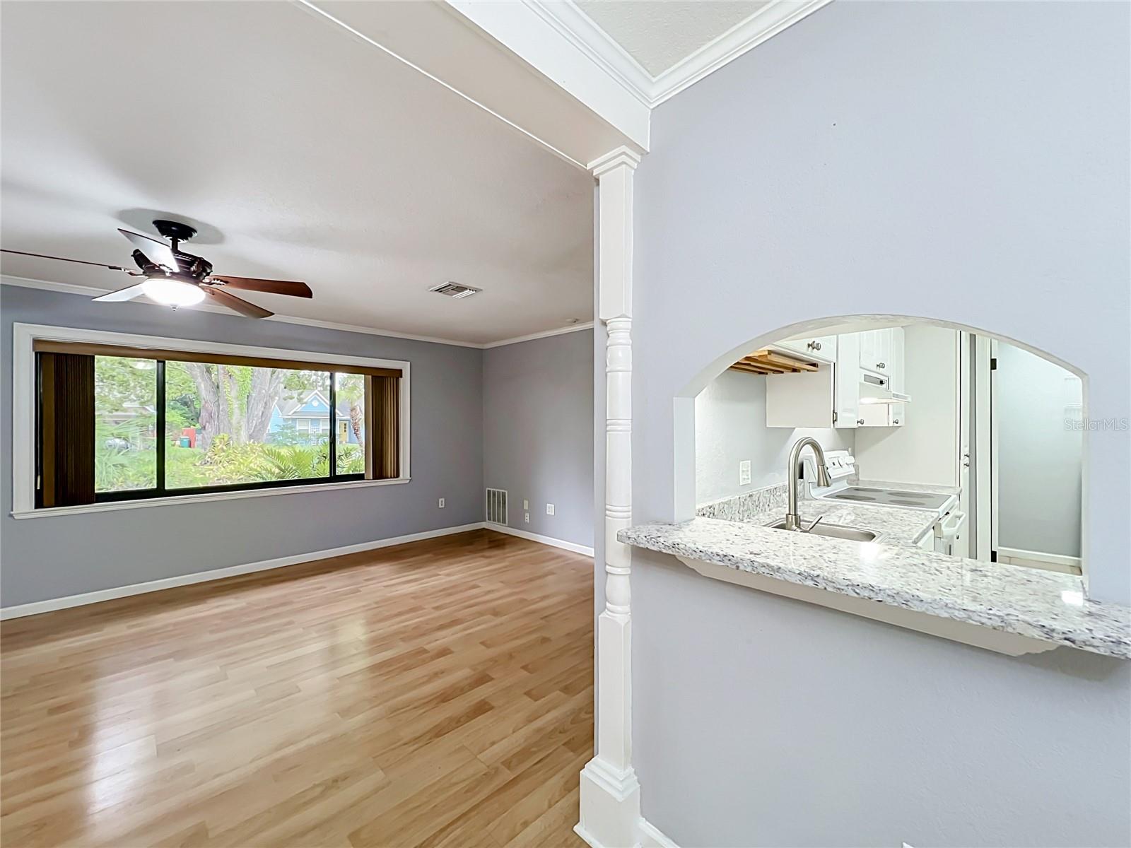 300 Pinecrest, Mount Dora, FL 32757