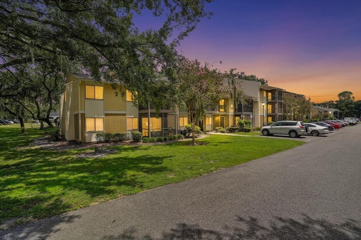 13405 Arbor Pointe Unit 104, Tampa, FL 33617