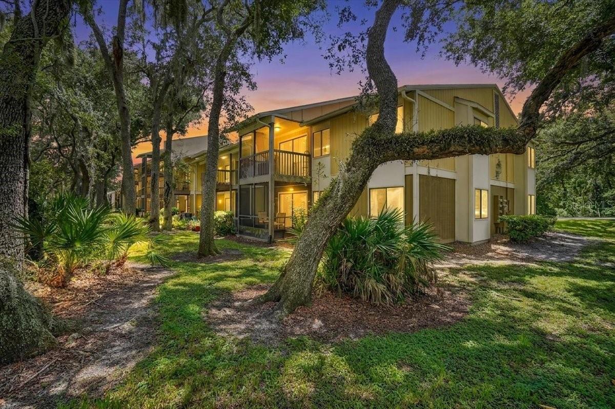 13405 Arbor Pointe Unit 104, Tampa, FL 33617