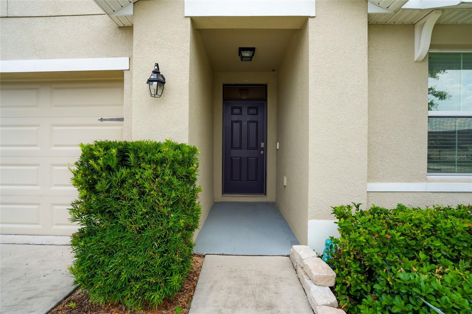 35803 Hillbrook, Zephyrhills, FL 33541