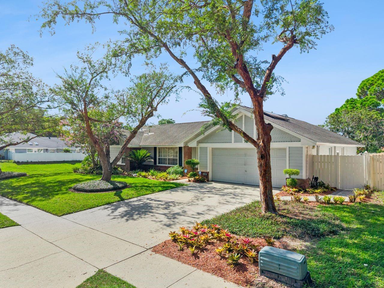 1129 Climbing Rose, Ocoee, FL 34761