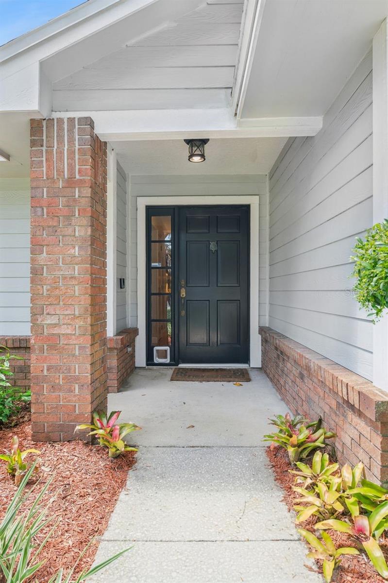 1129 Climbing Rose, Ocoee, FL 34761