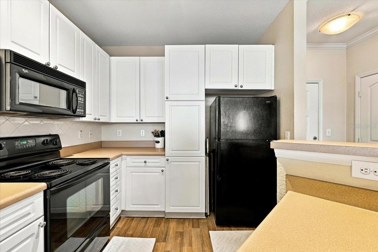 4221 Spruce Unit 1419, Tampa, FL 33607