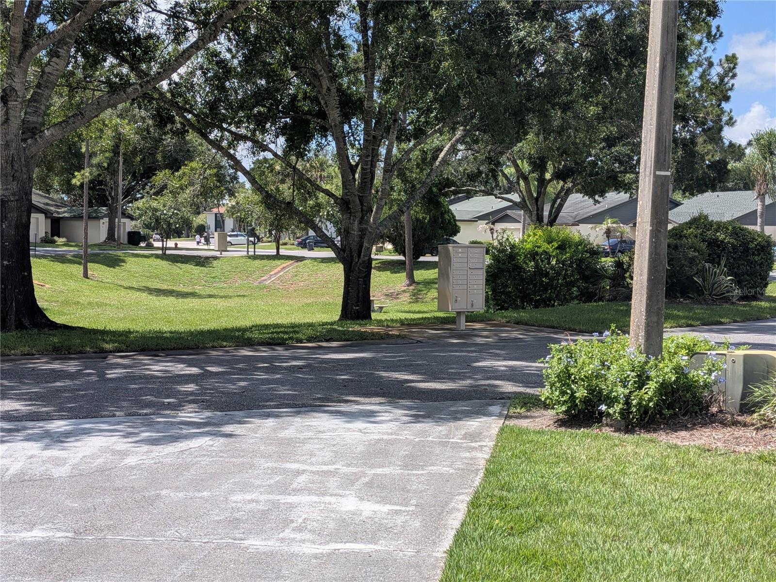 29 Buck, Haines City, FL 33844