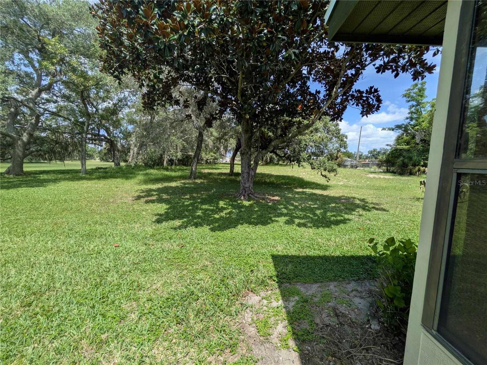 29 Buck, Haines City, FL 33844