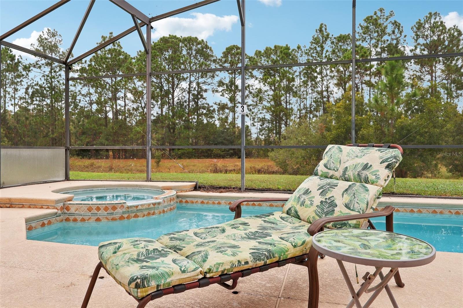 334 Orange Cosmos, Davenport, FL 33837