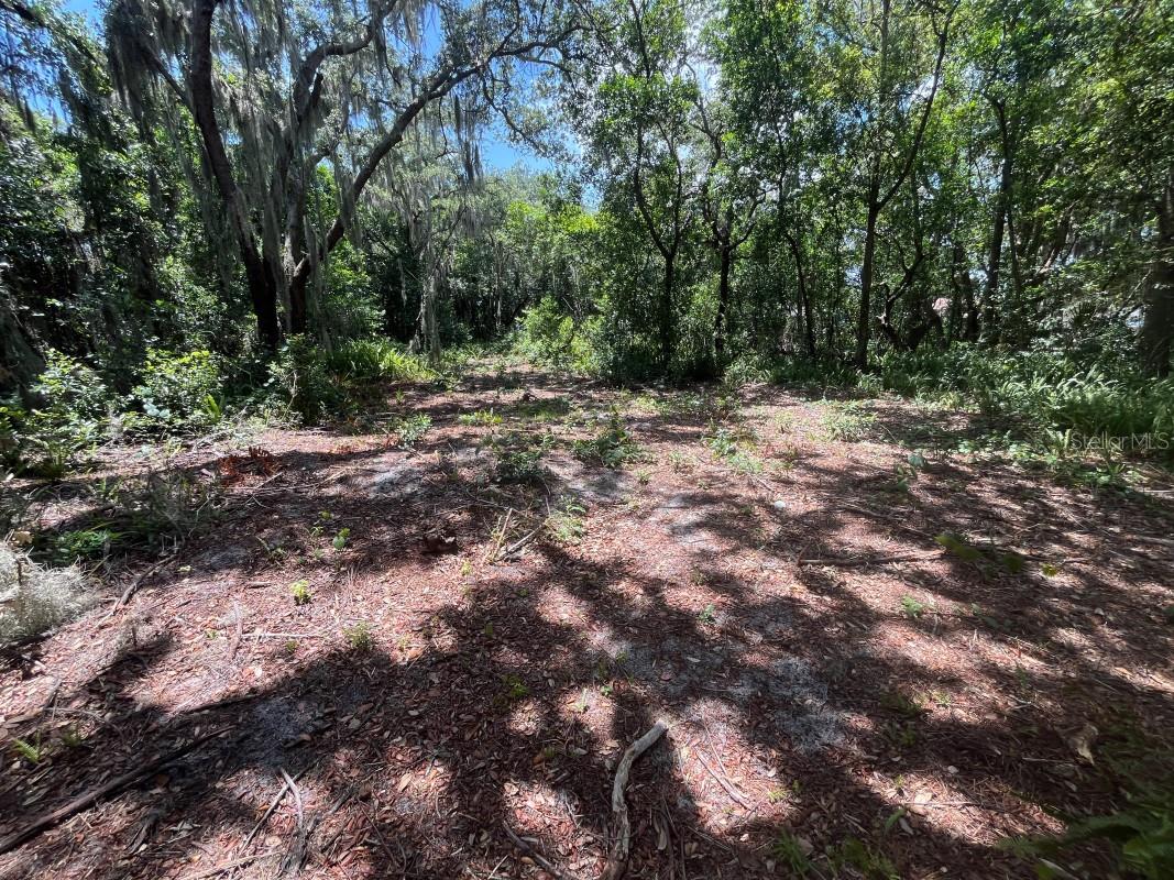310 Clayton, Auburndale, FL 33823