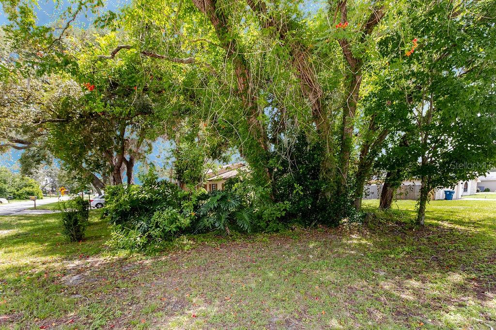 1042 Tryon, Spring Hill, FL 34606