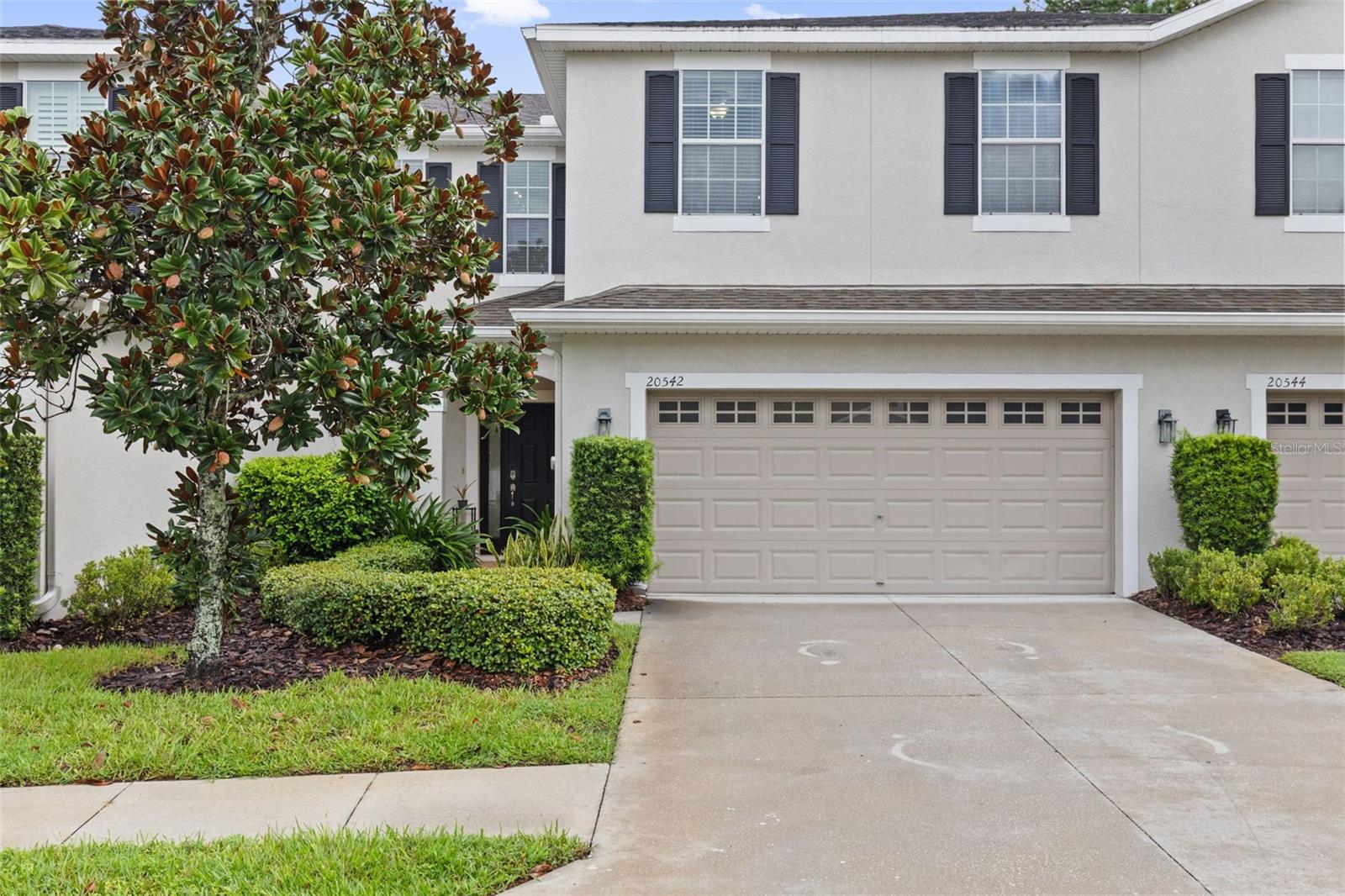20542 Grand Vista, Tampa, FL 33647
