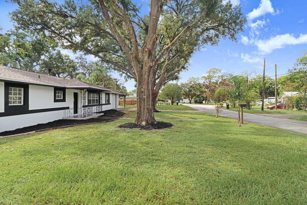 12113 Midlake, Tampa, FL 33612