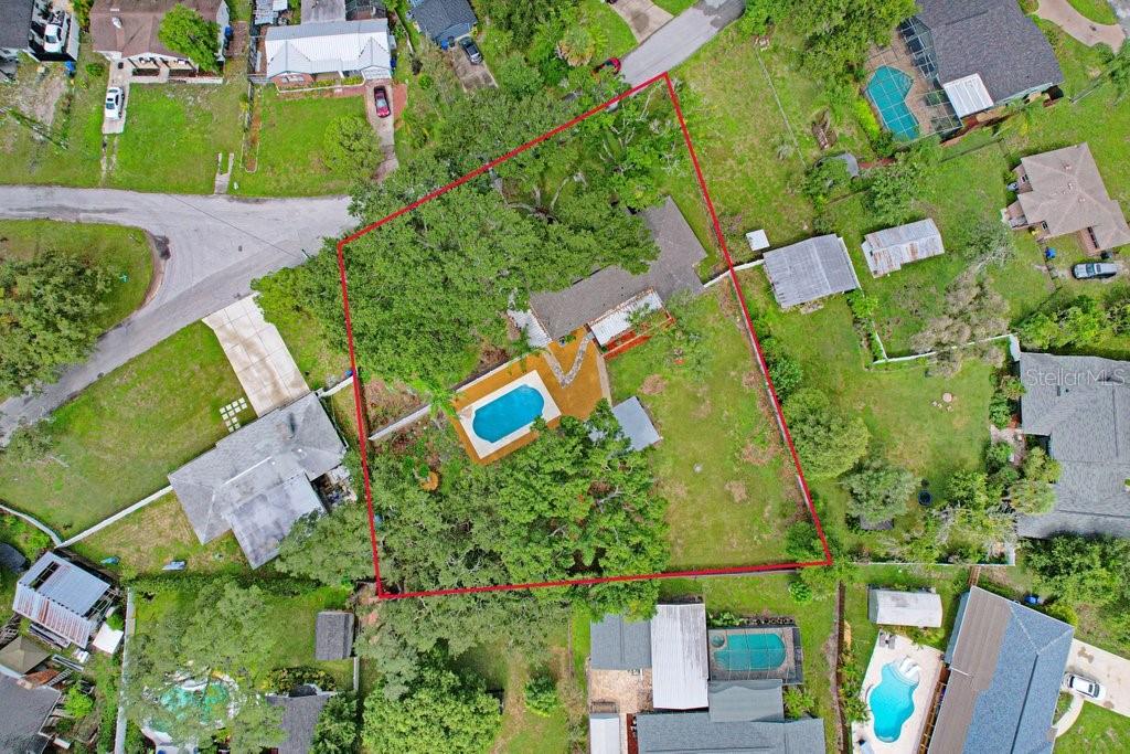 12113 Midlake, Tampa, FL 33612