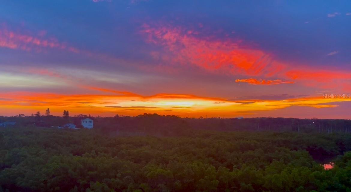 244 Mariner Unit 244, Tarpon Springs, FL 34689