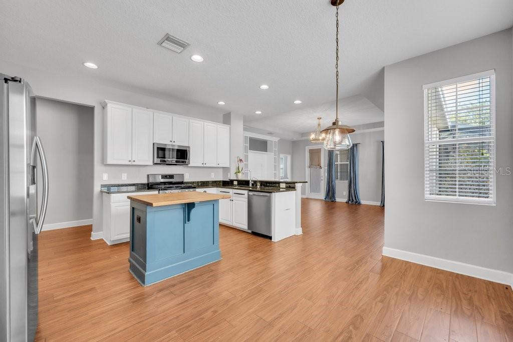 16013 Loneoak View, Lithia, FL 33547
