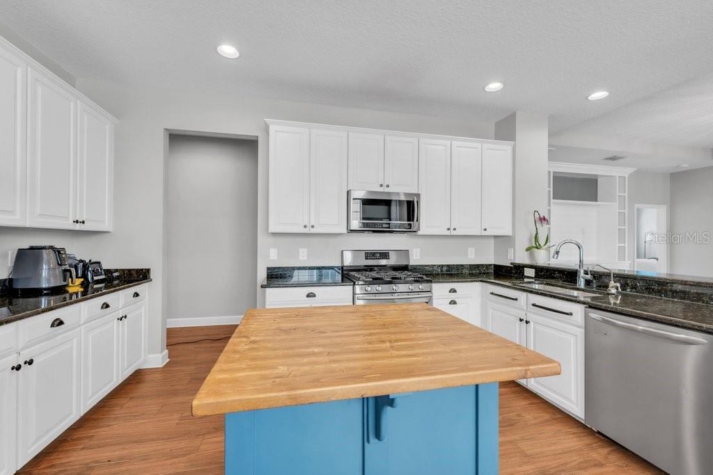 16013 Loneoak View, Lithia, FL 33547