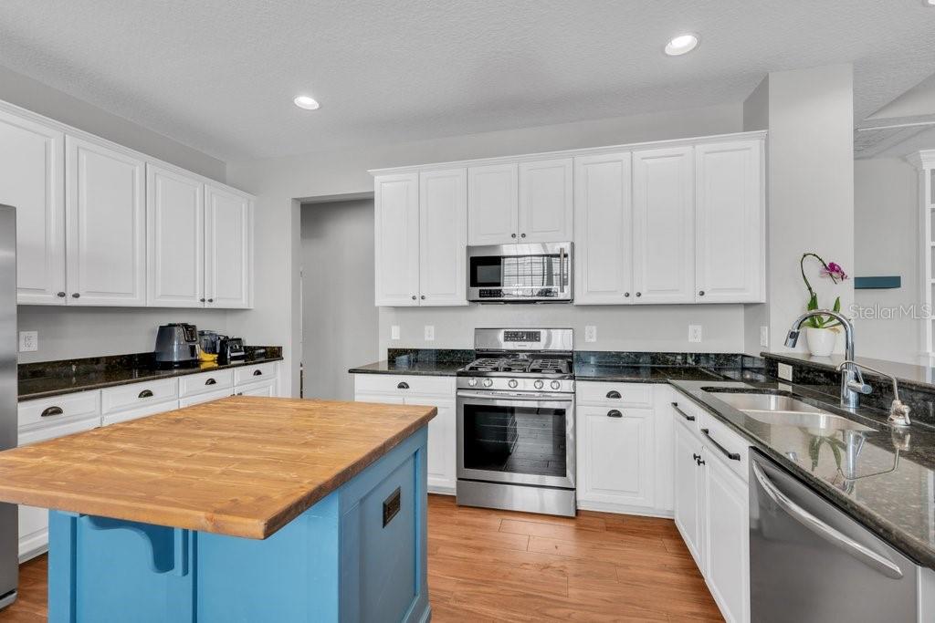 16013 Loneoak View, Lithia, FL 33547