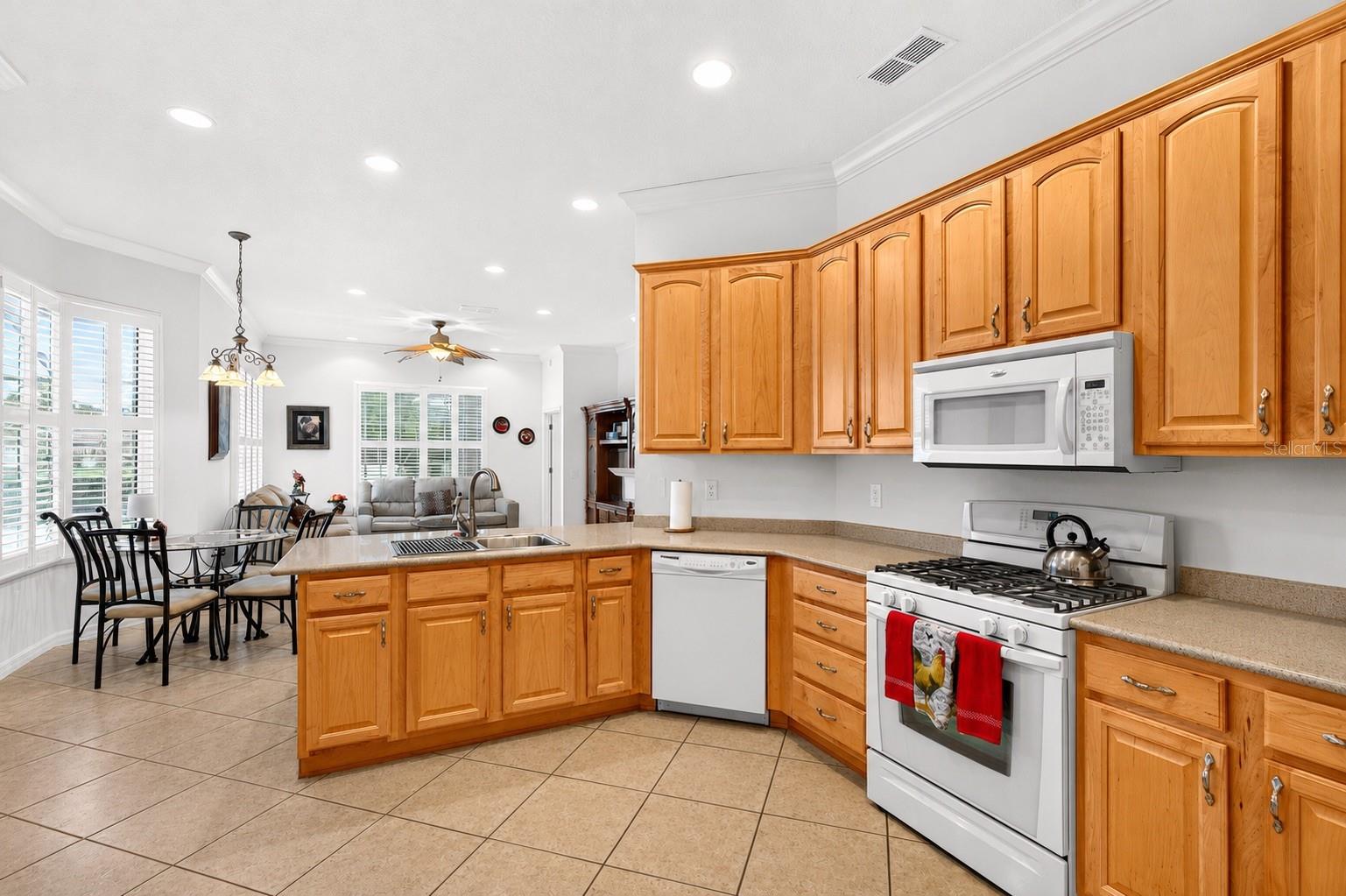 8616 82nd, Ocala, FL 34481