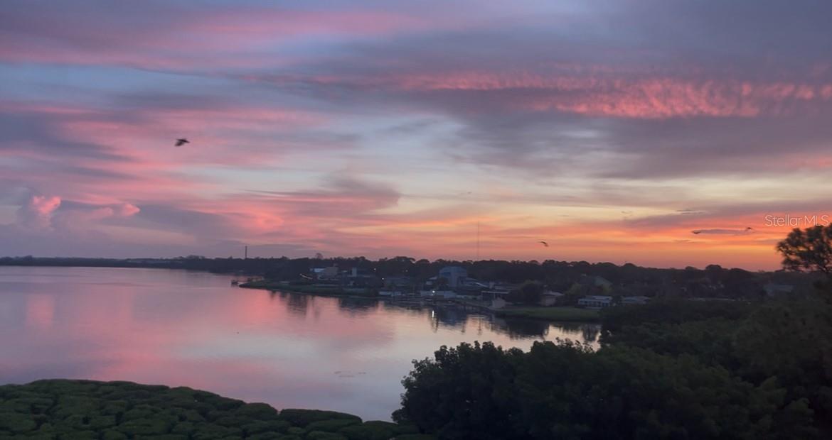 243 Mariner Unit 243, Tarpon Springs, FL 34689