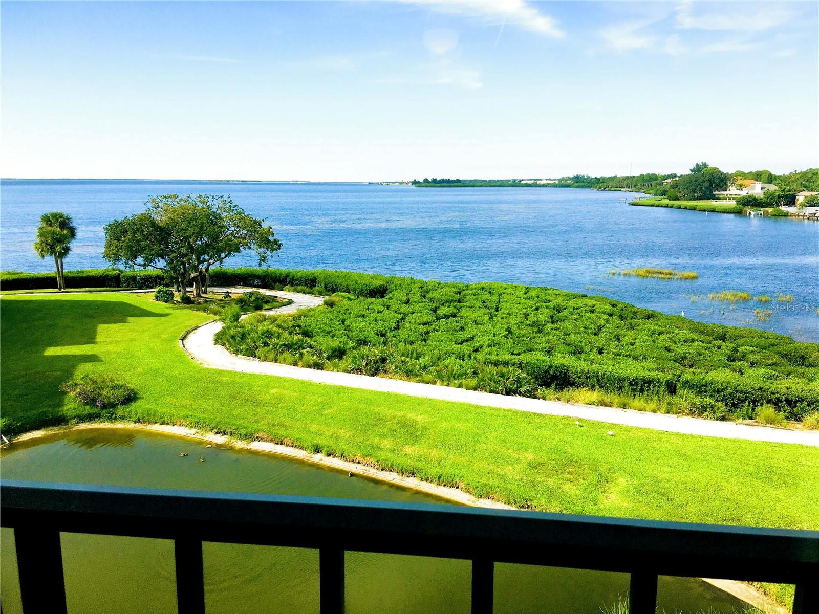 243 Mariner Unit 243, Tarpon Springs, FL 34689