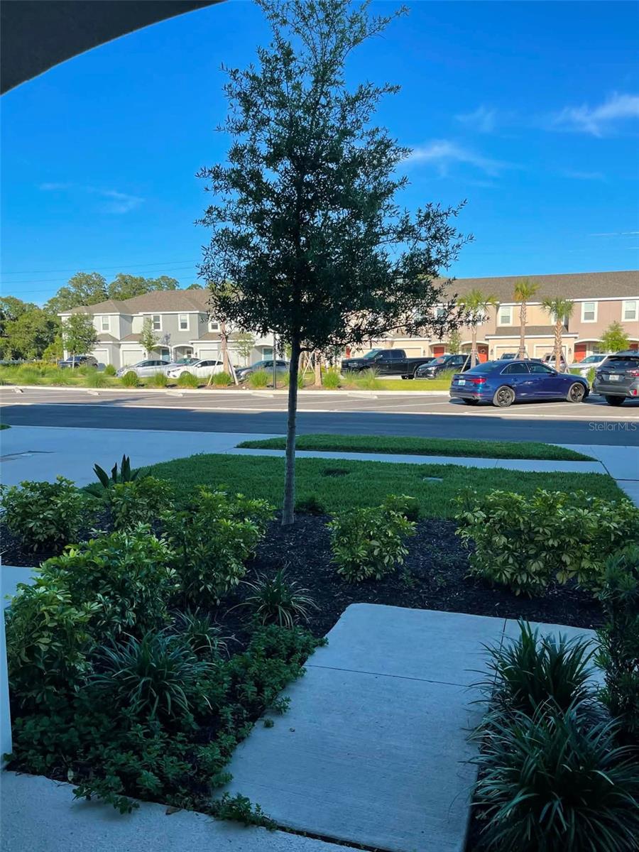 2516 Paravane, Wesley Chapel, FL 33543