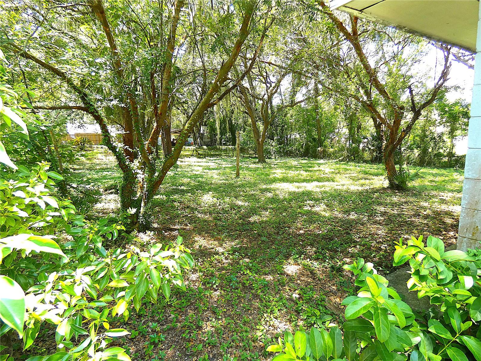 106 Willard, Fruitland Park, FL 34731