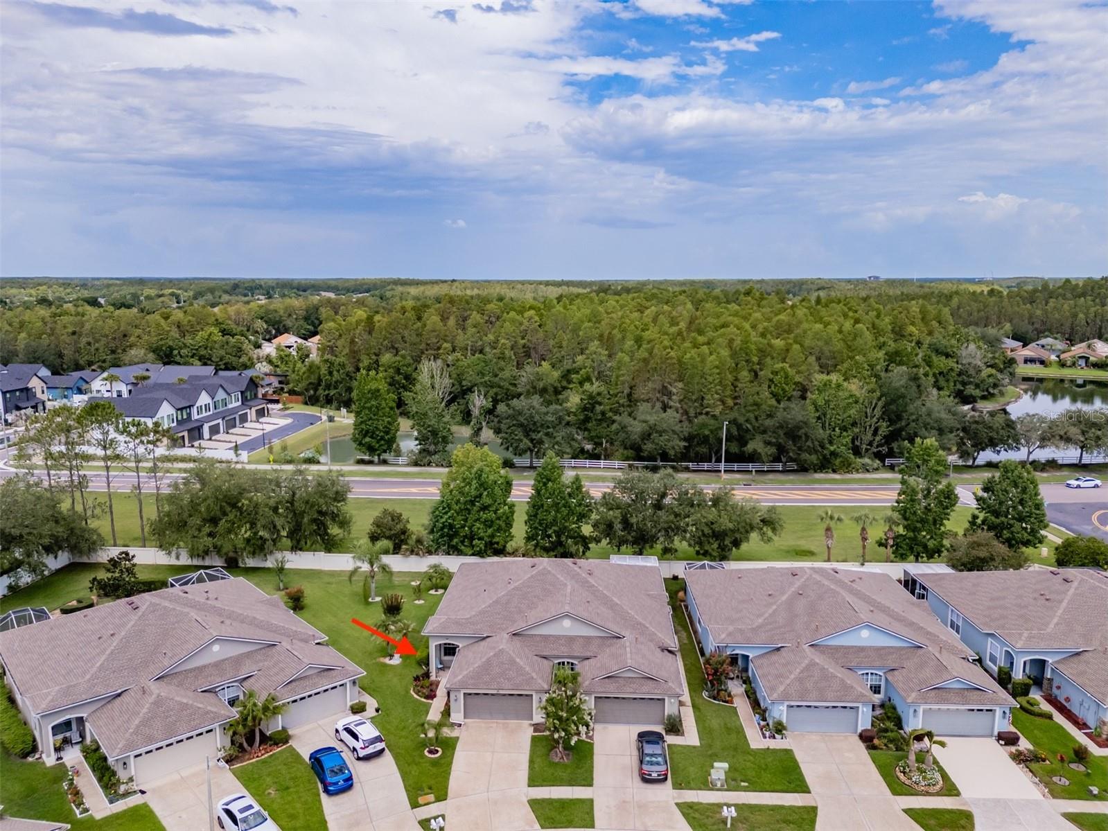 1237 Ambridge, Wesley Chapel, FL 33543