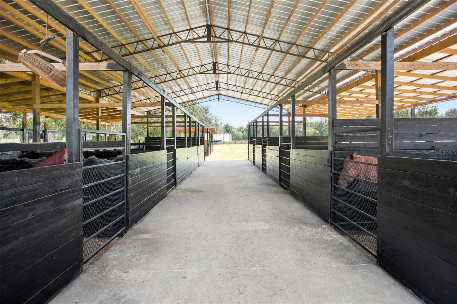 3875 118th, Belleview, FL 34420