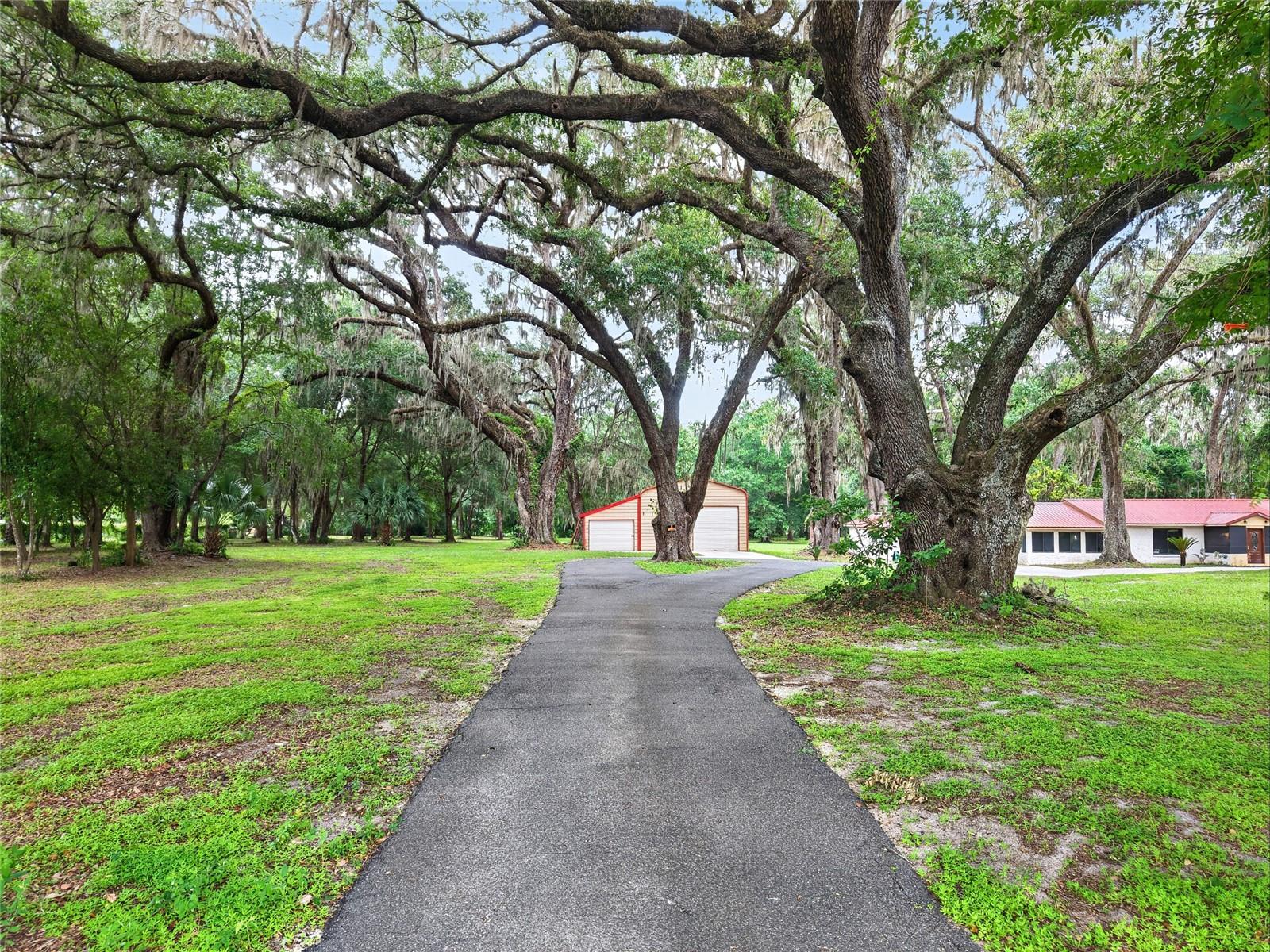 18741 Us Highway 301, Citra, FL 32113