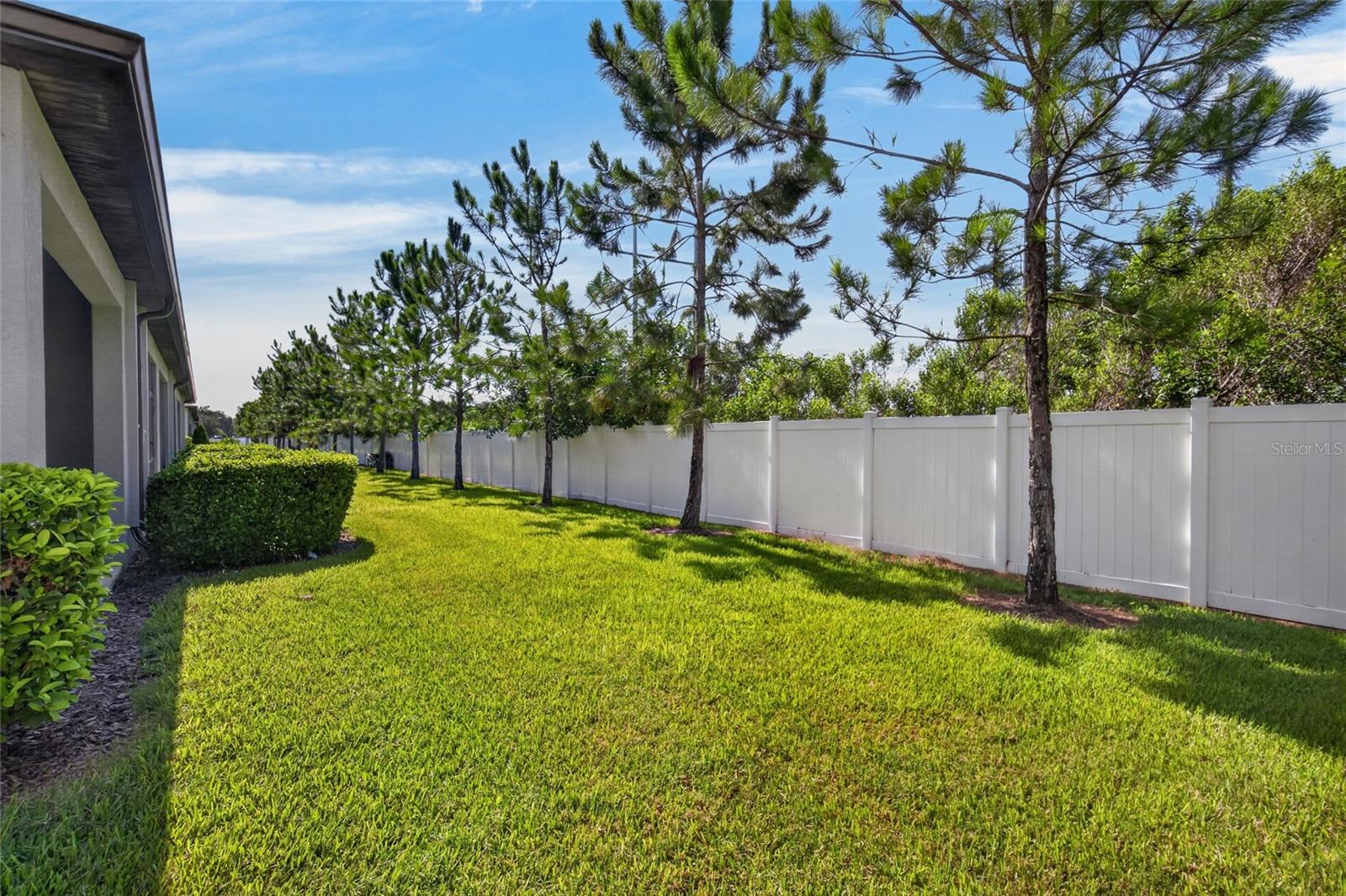 7617 Ginger Lily, Tampa, FL 33619