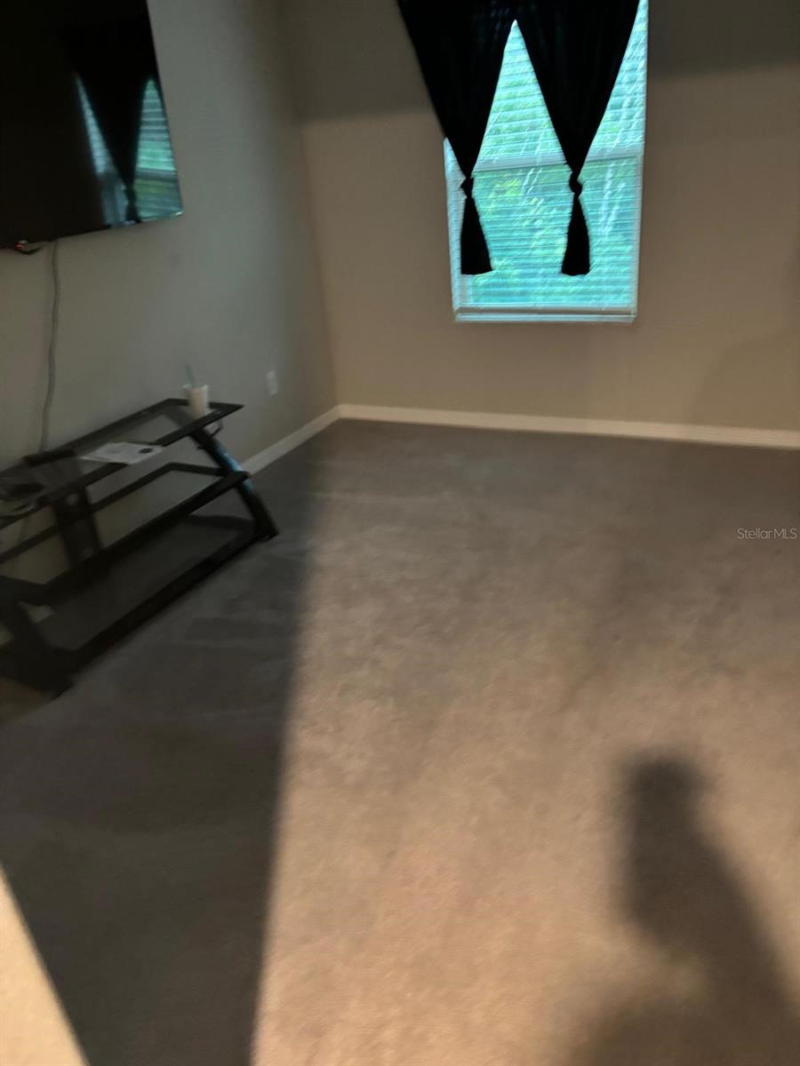 11813 Dumaine Valley, Riverview, FL 33579