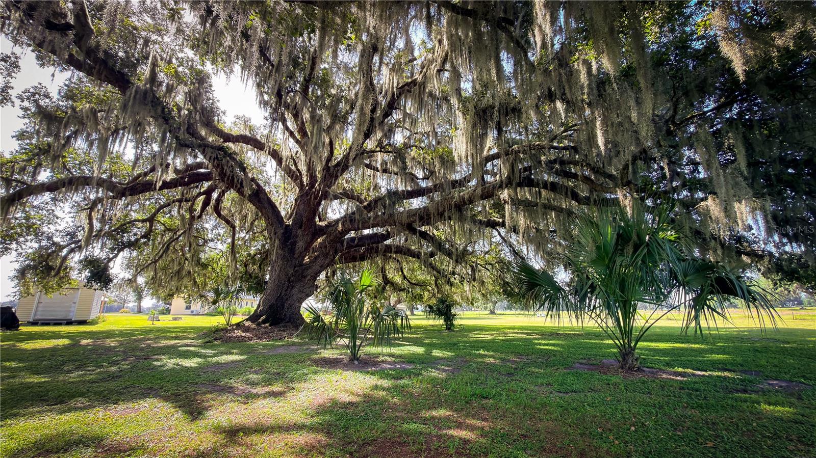 7820 32nd, Bushnell, FL 33513