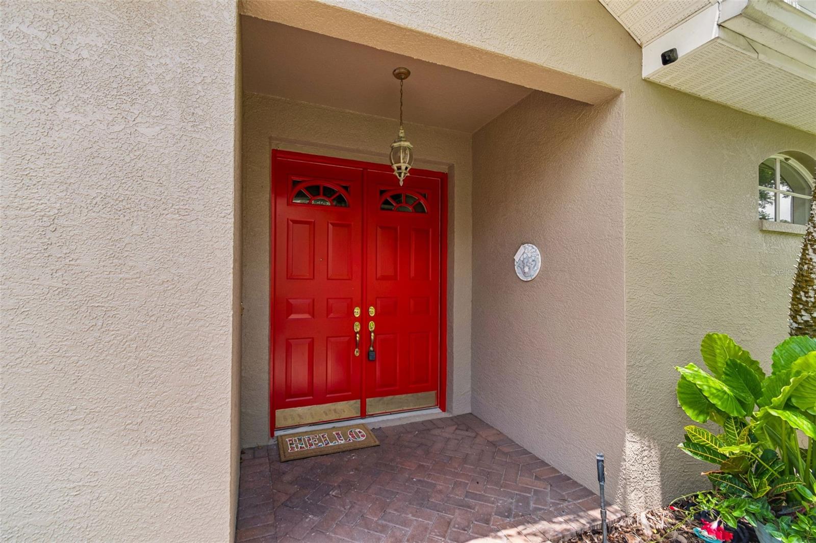12442 Forest Highlands, Dade City, FL 33525