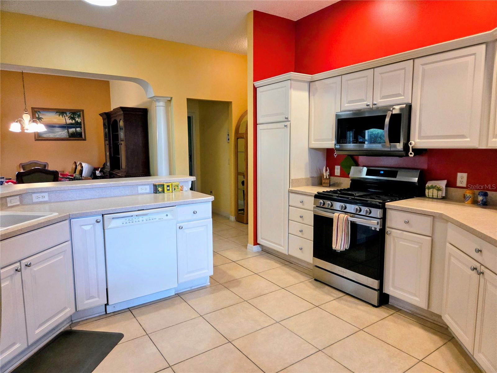 1569 Andrews, The Villages, FL 32162